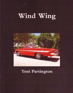 Wind Wing Cover