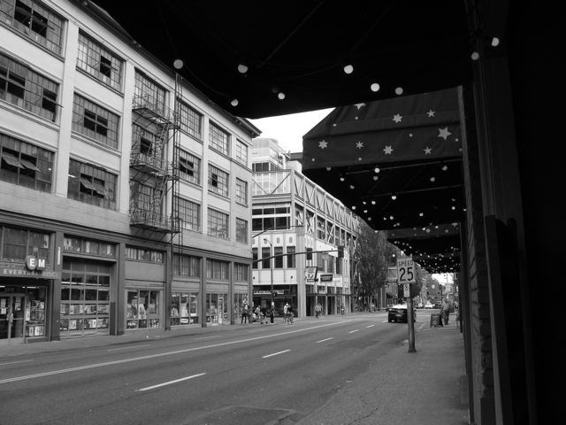 naomi-fast-pdx-photography-_awning-of-stars_