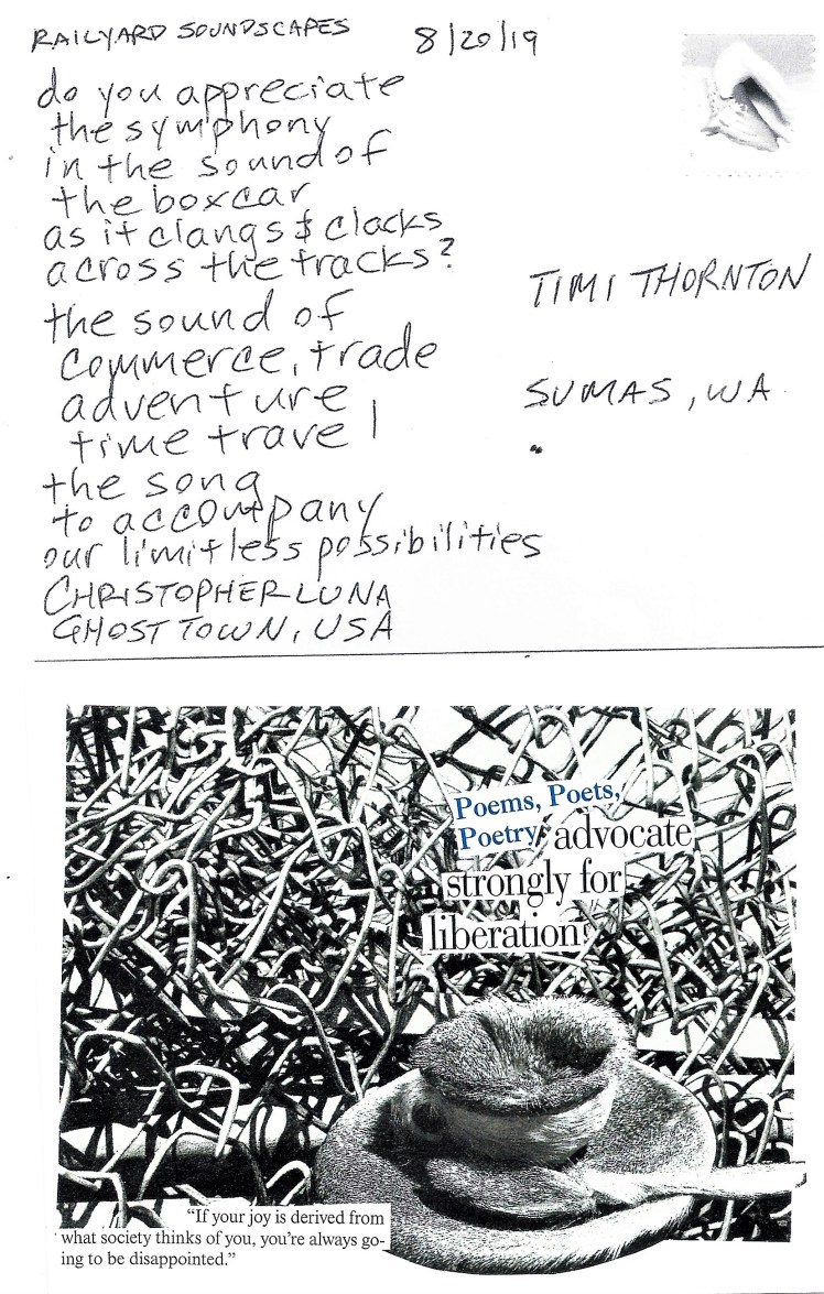 August 20 Timi Thornton