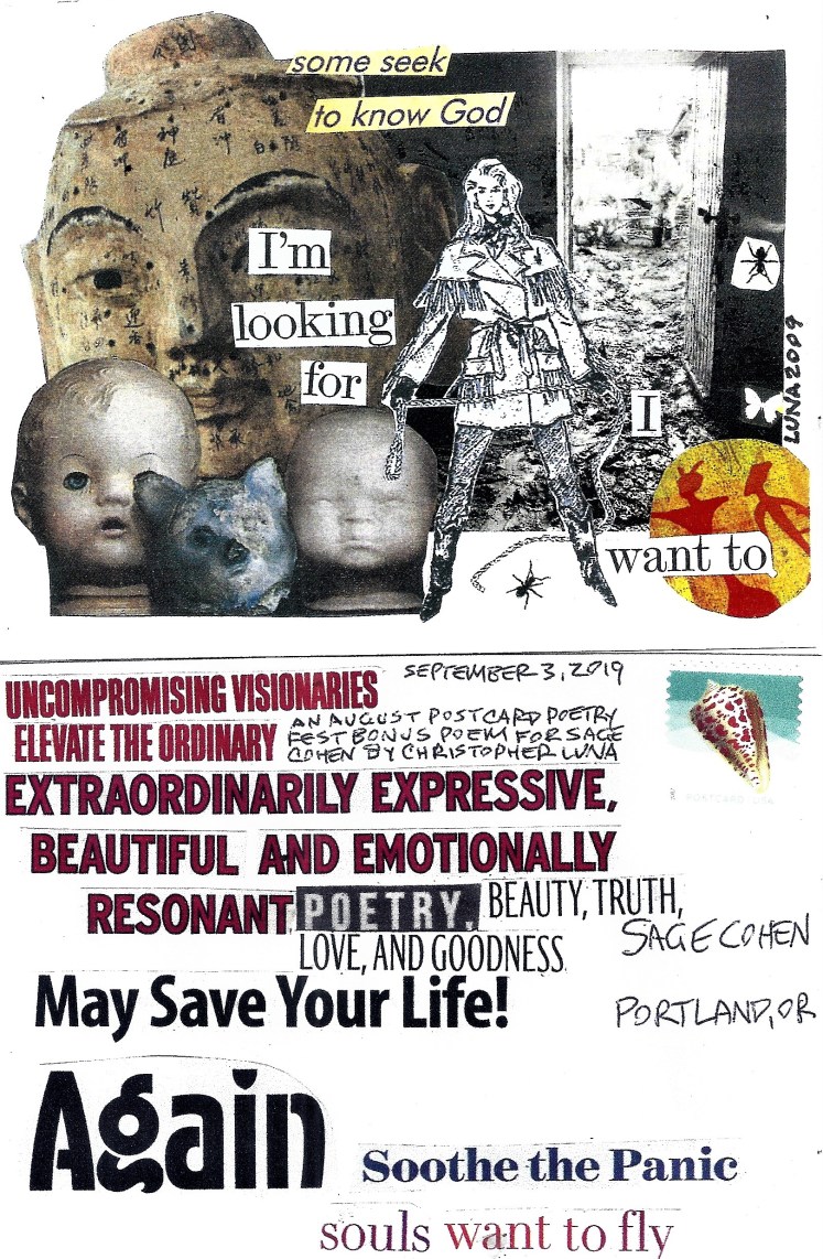 September 3 Sage Cohen