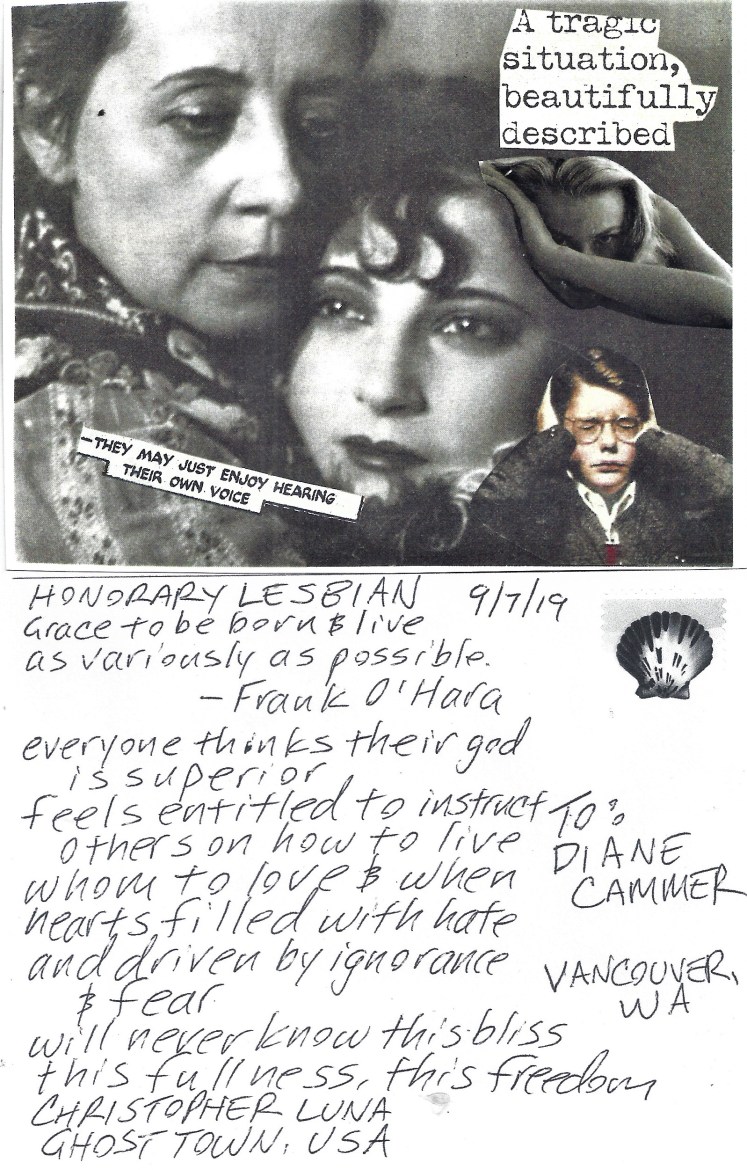 September 7 Diane Cammer