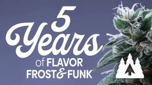 87172390_10216019752343676_52674522595196928_n